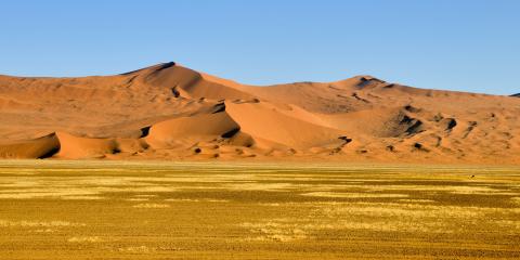 namib